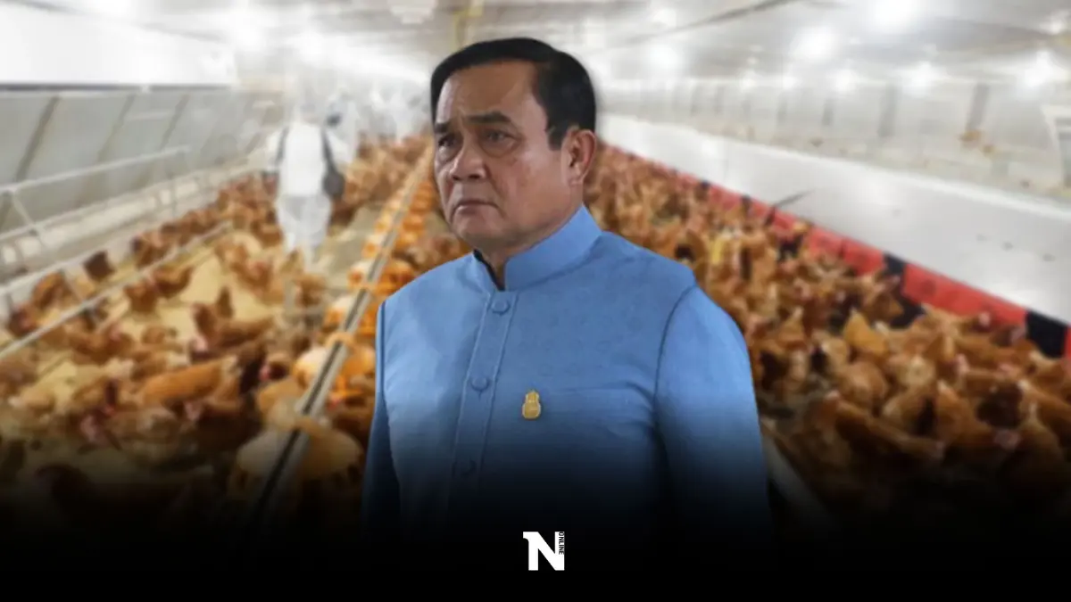 นายกฯสั่งเฝ้าระวัง"ไข้หวัดนกสายพันธุ์ H3N8" กำชับรับมือ หลังแพร่ระบาดในคน