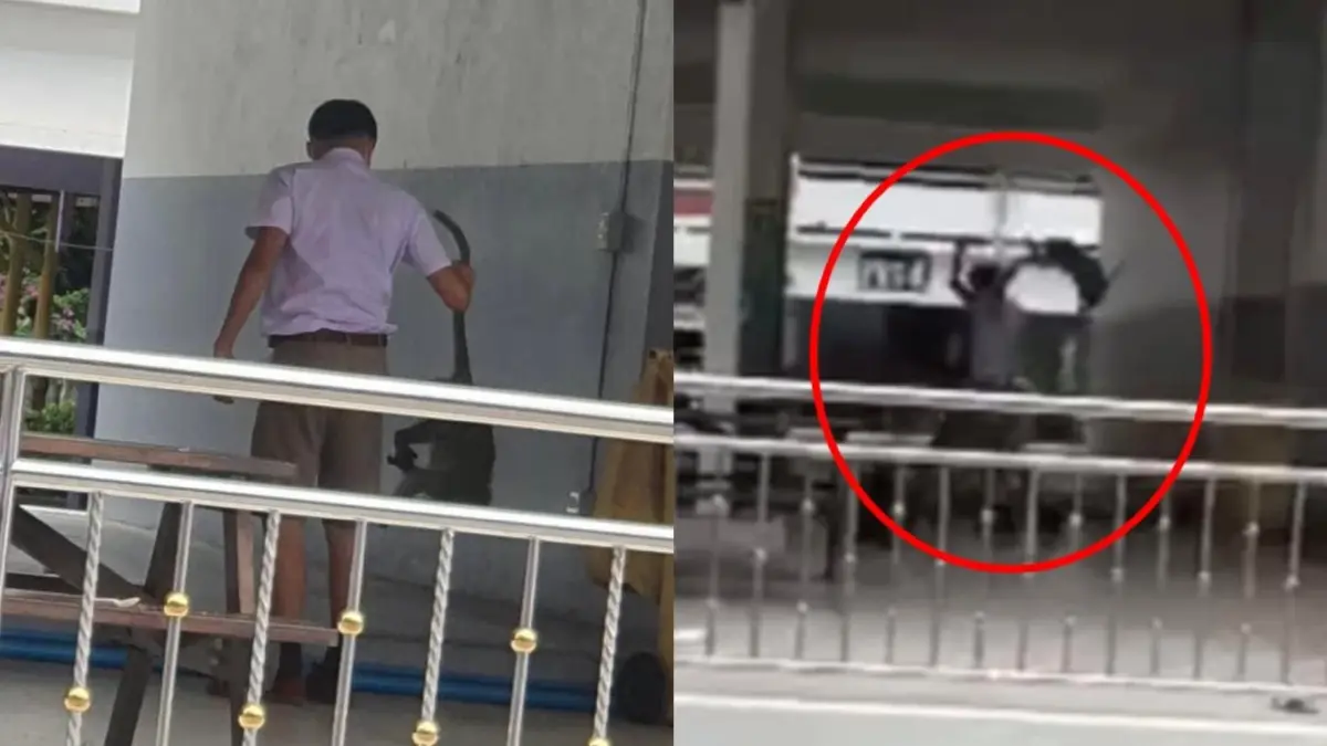 เพจดังเปิดคลิป "นักเรียนทรงพลัง" สู้ "ฝูงลิง" บุกป่วนโรงเรียน เพจดังเปิดคลิป "นักเรียนทรงพลัง" สู้ "ฝูงลิง" บุกป่วนโรงเรียน