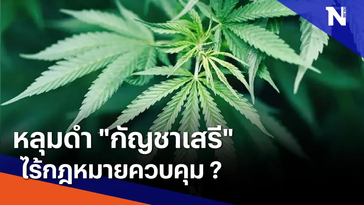 หลุมดำ "กัญชาเสรี" : ไร้กฎหมายควบคุม ? | ข่าวข้นคนข่าว | NationTV22 หลุมดำ "กัญชาเสรี" : ไร้กฎหมายควบคุม ? | ข่าวข้นคนข่าว | NationTV22