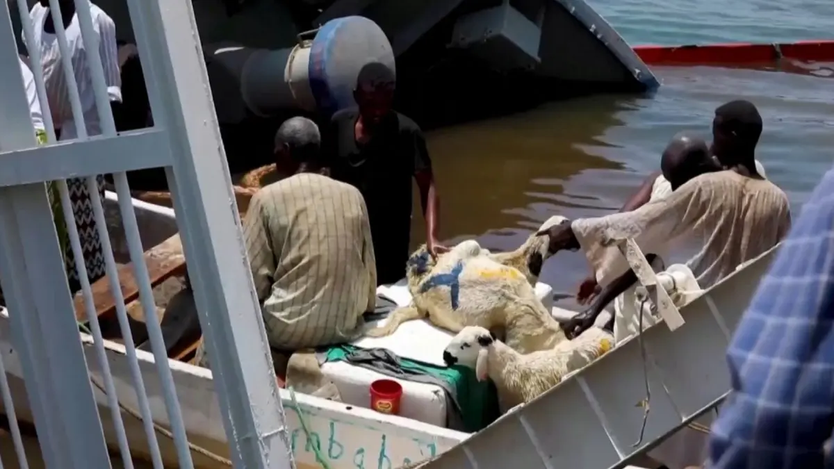 เรือบรรทุกแกะเกือบ 16,000 ตัว ล่มนอกฝั่งซูดาน เรือบรรทุกแกะเกือบ 16,000 ตัว ล่มนอกฝั่งซูดาน
