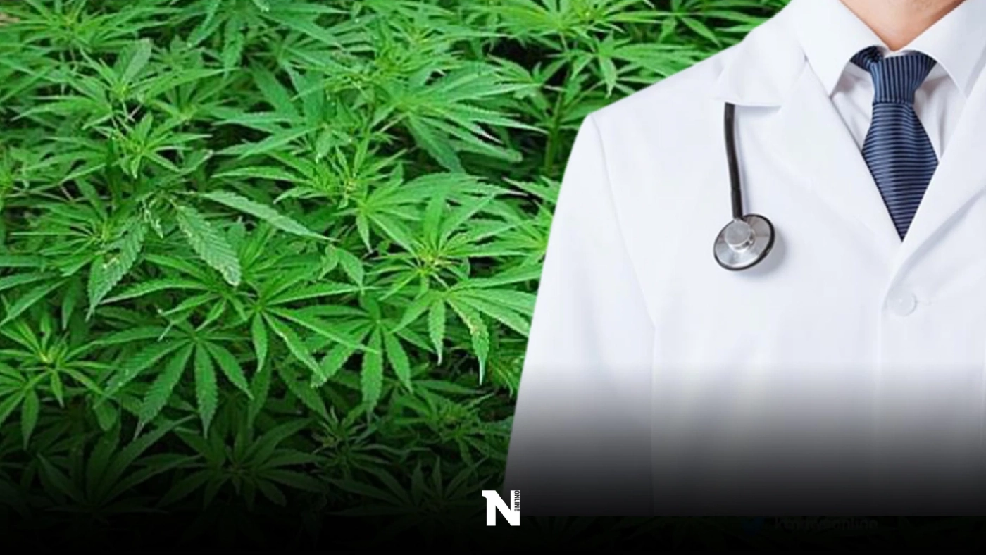 ประโยชน์ของ กัญชาทางการแพทย์ รักษาโรคอะไรได้บ้าง สาระดีๆ ที่คอข่าวต้องรู้