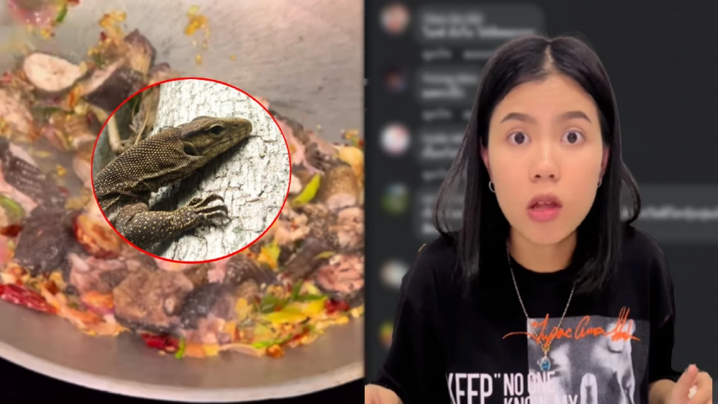 "กระต่าย พรรณนิภา" โชว์เมนู "ผัดเผ็ดแลน" โซเชียลสงสัยเป็นสัตว์ป่าคุ้มครอง "กระต่าย พรรณนิภา" โชว์เมนู "ผัดเผ็ดแลน" โซเชียลสงสัยเป็นสัตว์ป่าคุ้มครอง