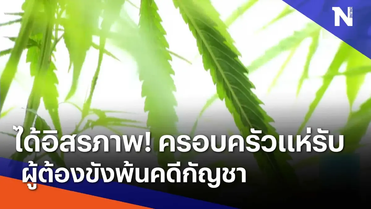 ได้อิสรภาพ ! ครอบครัวแห่รับผู้ต้องขังพ้น "คดีกัญชา" | เนชั่นทันข่าวเช้า | NationTV22 ได้อิสรภาพ ! ครอบครัวแห่รับผู้ต้องขังพ้น "คดีกัญชา" | เนชั่นทันข่าวเช้า | NationTV22