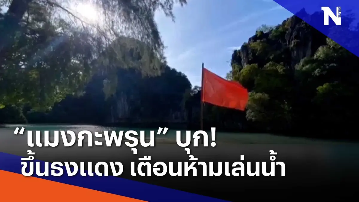 "แมงกะพรุน" บุก ! ขึ้นธงแดงเตือนห้ามเล่นน้ำ | เนชั่นทันข่าวเช้า | NationTV22 "แมงกะพรุน" บุก ! ขึ้นธงแดงเตือนห้ามเล่นน้ำ | เนชั่นทันข่าวเช้า | NationTV22