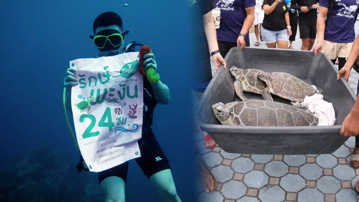ภาครัฐ-เอกชน จัดงาน"รักษ์พะงัน 24 ชม."  รวมพลังฟื้นฟูท้องทะเล ชุมชนเกาะพะงันเนื่องในวันทะเลโลก 8 มิ.ย.