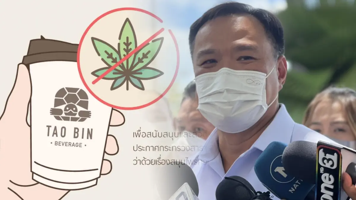 ตัดปัญหา ! "อนุทิน" เผย "เต่าบิน" แจ้งยกเลิกขายเครื่องดื่มผสมกัญชาแล้ว