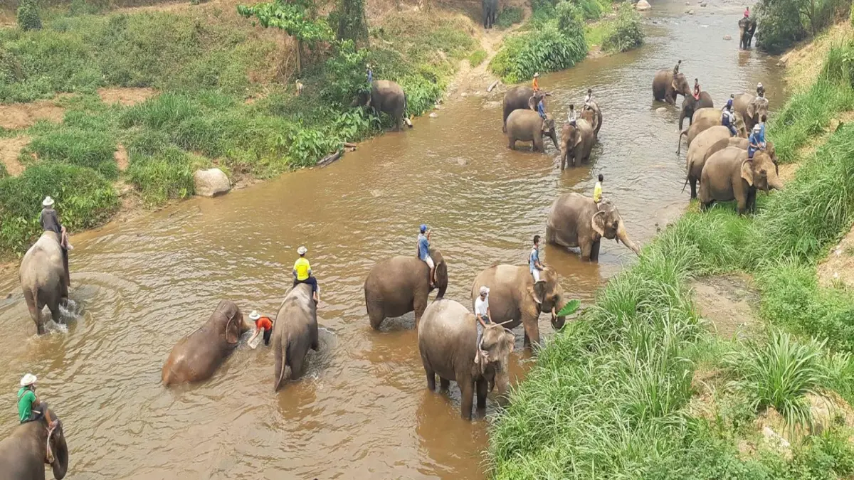 เชียงใหม่สัญญานบวกคาดกรีนซีซั่นนักเที่ยวทะลุ1แสนคน