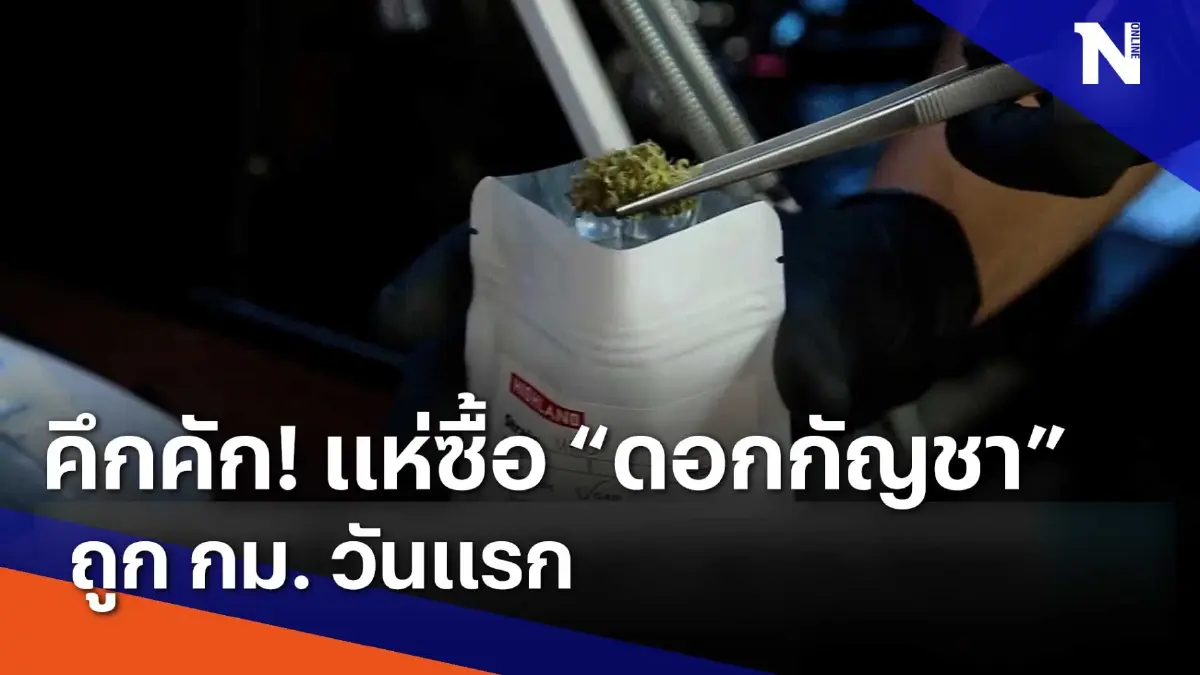 คึกคัก ! แห่ซื้อ "ดอกกัญชา" ถูก กม. วันแรก | เนชั่นทันข่าวเช้า | NationTV22 คึกคัก ! แห่ซื้อ "ดอกกัญชา" ถูก กม. วันแรก | เนชั่นทันข่าวเช้า | NationTV22