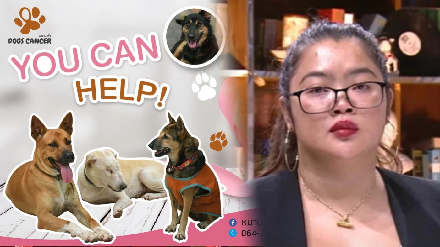 เจ้าของเพจหมามะเร็งเครียดจัด ส่งทนายรับข้อหาแทน พบ 4 ปี เงินผ่านบัญชี 33 ล.