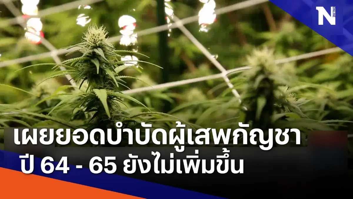 เผยยอดบำบัดผู้เสพกัญชาปี 64 - 65 ยังไม่เพิ่มขึ้น | เนชั่นทันข่าวเที่ยง เผยยอดบำบัดผู้เสพกัญชาปี 64 - 65 ยังไม่เพิ่มขึ้น | เนชั่นทันข่าวเที่ยง