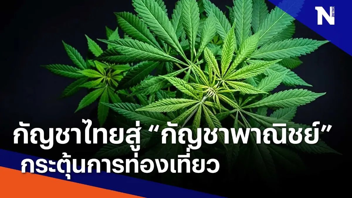 กัญชาไทยสู่ "กัญชาพาณิชย์" กระตุ้นท่องเที่ยว | ข่าวข้นคนข่าว | NationTV22 กัญชาไทยสู่ "กัญชาพาณิชย์" กระตุ้นท่องเที่ยว | ข่าวข้นคนข่าว | NationTV22