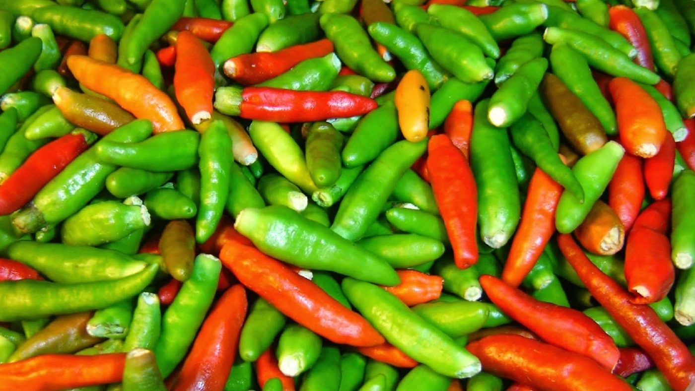 พริกขี้หนูสวนราคาพุ่ง 250 บาท/กก. เท่าเนื้อหมูสด