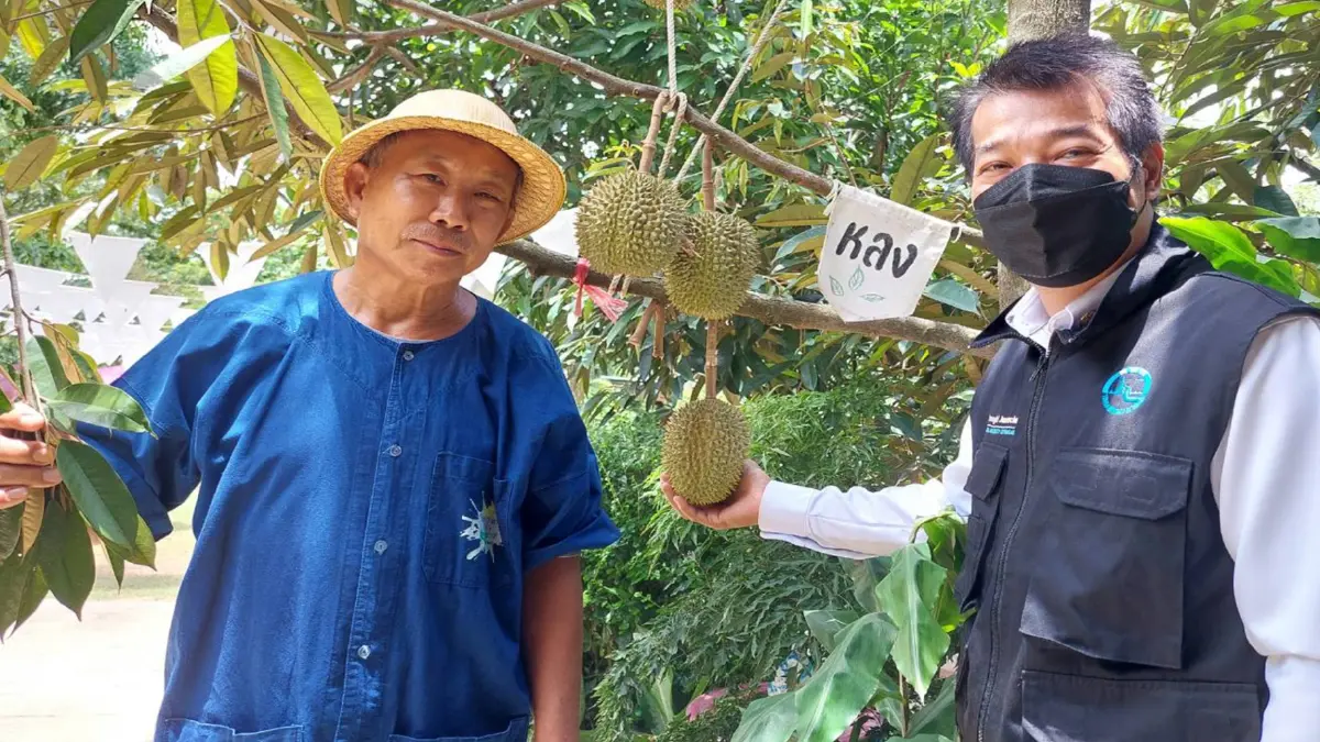 เปิดสวนทุเรียนGI“หลง-หลิน”ฟันรายได้200ล.