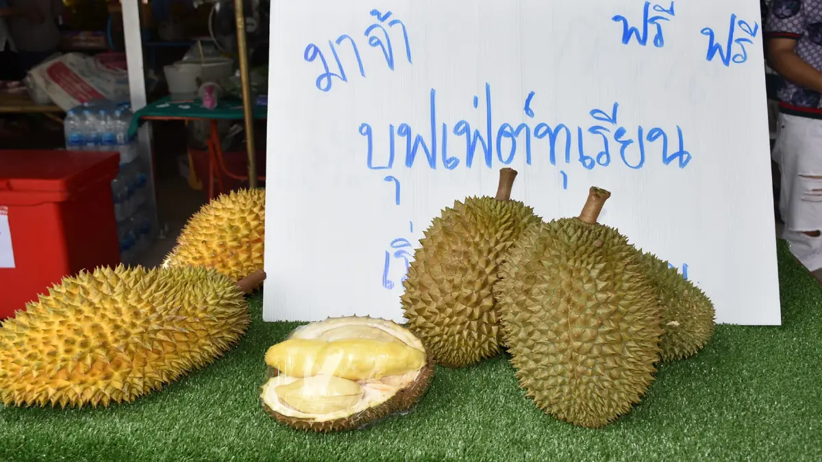 สุดฟิน!!!ชาวสวนลับแลใจดี แจกทุเรียนกินฟรี200กก.