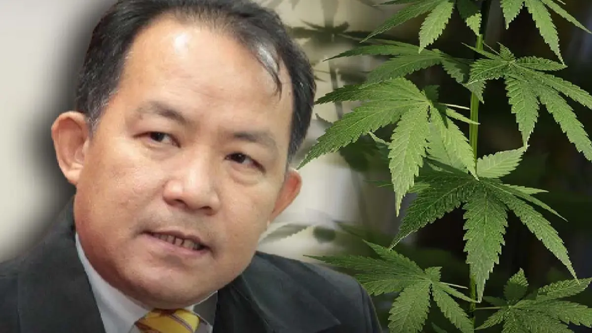 “ศรีสุวรรณ” ขอบคุณรัฐบาลทำตามสัญญาให้ – ปลูก – เสพ - สูบกัญชา แต่มิควรเสรี100% “ศรีสุวรรณ” ขอบคุณรัฐบาลทำตามสัญญาให้ – ปลูก – เสพ - สูบกัญชา แต่มิควรเสรี100%