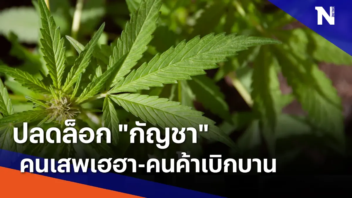 ปลดล็อก "กัญชา" คนเสพเฮฮา-คนค้าเบิกบาน | ข่าวข้นคนข่าว | NationTV22 ปลดล็อก "กัญชา" คนเสพเฮฮา-คนค้าเบิกบาน | ข่าวข้นคนข่าว | NationTV22