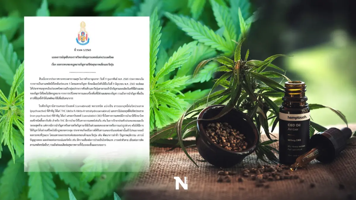 ราชวิทยาลัยกุมารแพทย์ฯ แถลงจุดยืน ห้ามอายุต่ำกว่า 20 ปีใช้กัญชา มีผลต่อสมอง-พัฒนาการ