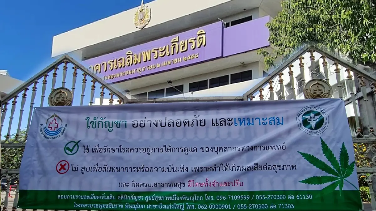 รพ.พุทธชินราช เตือนปชช. ใช้กัญชาอย่างมีความรู้-เหมาะสม เพื่อความปลอดภัย