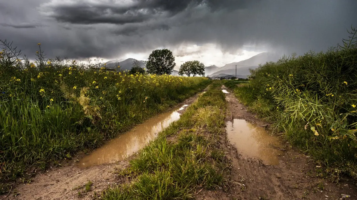 สภาพอากาศวันนี้ ยังคงมีฝนตกต่อเนื่องกับตกหนัก ในพื้นที่ เหนือ อีสาน ใต้