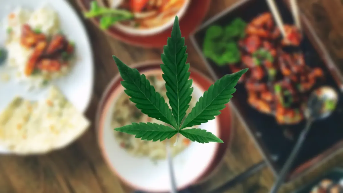 เปิด 6 ข้อกำหนดใช้ “กัญชา” ทำอาหารเพื่อจำหน่าย เช็กเลยมีอะไรบ้าง ?