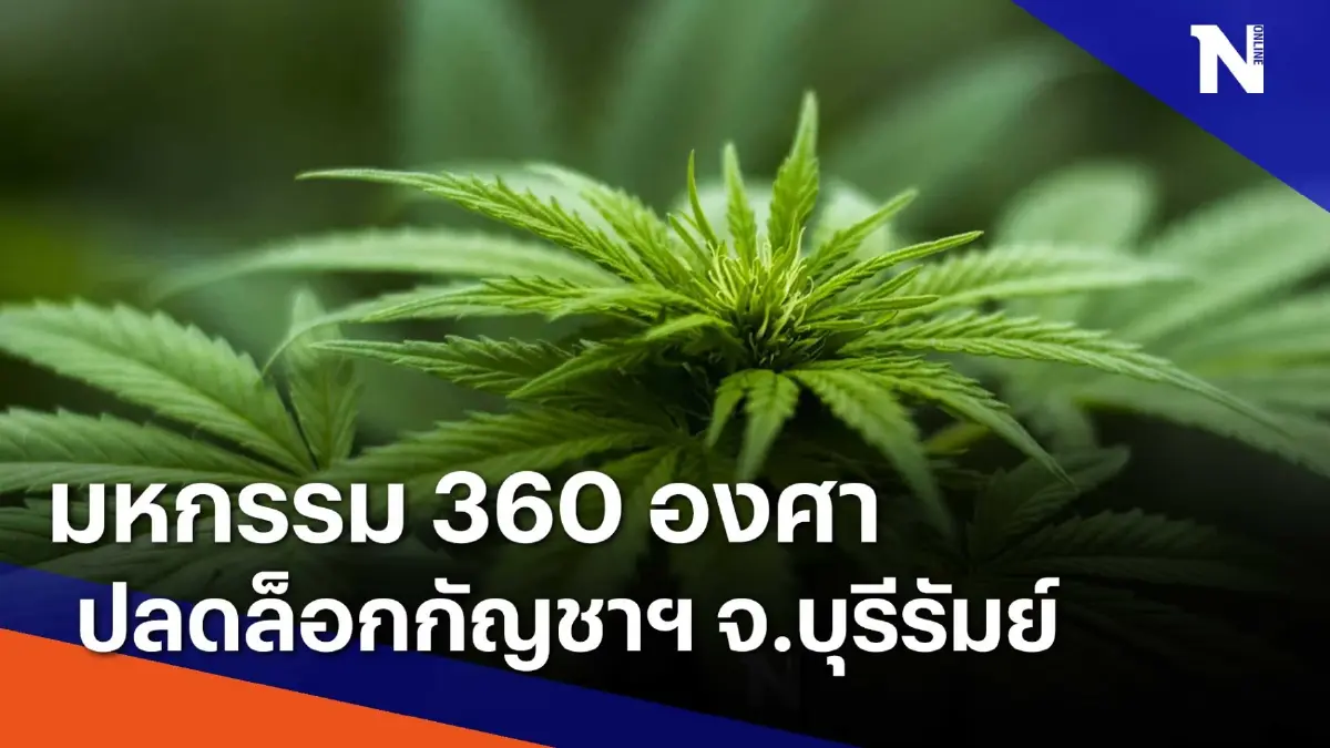 มหกรรม 360 องศา ปลดล็อกกัญชาฯ จ.บุรีรัมย์ | ข่าวข้นคนข่าว | NationTV22 มหกรรม 360 องศา ปลดล็อกกัญชาฯ จ.บุรีรัมย์ | ข่าวข้นคนข่าว | NationTV22