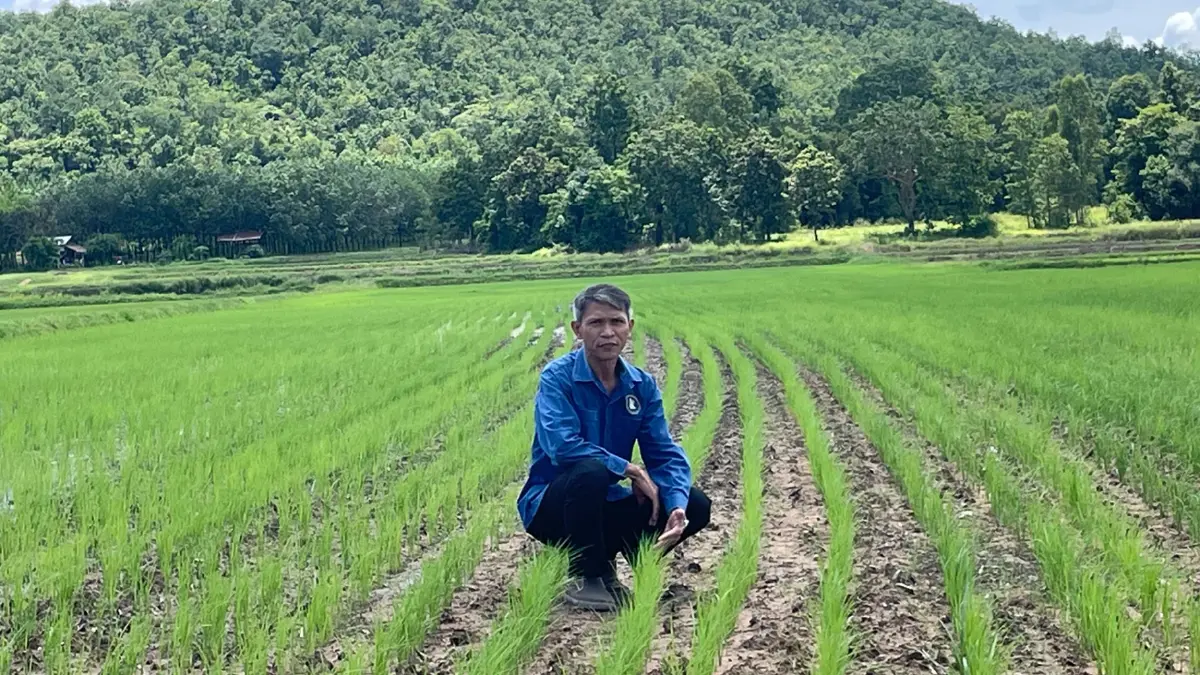ศูนย์ข้าวเอกชน ชี้เสียงท้วงติง งบ 1.5 หมื่นล้าน ยิ่งเสริมความรอบคอบ