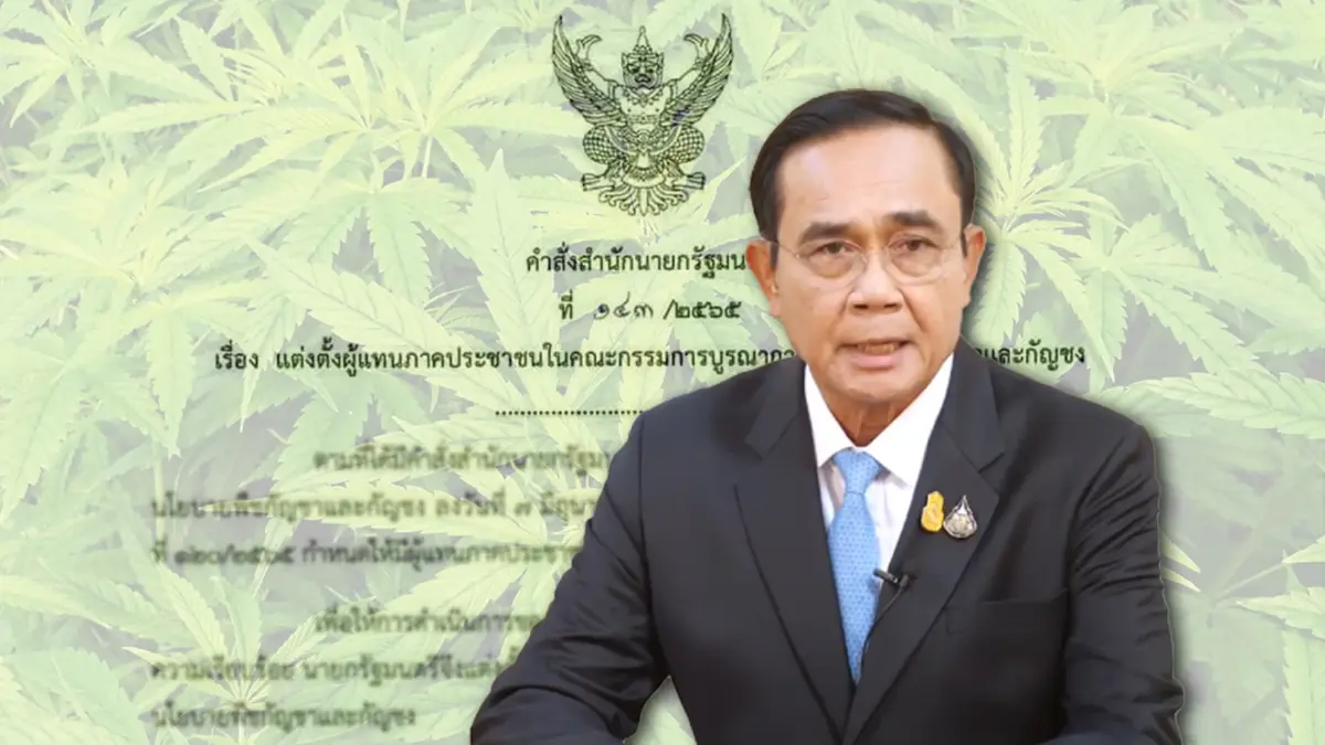 เปิดชื่อ "3 คีย์แมนภาคประชาชน"นายกฯแต่งตั้งกำกับ "นโยบายกัญชาและกัญชง" เปิดชื่อ "3 คีย์แมนภาคประชาชน"นายกฯแต่งตั้งกำกับ "นโยบายกัญชาและกัญชง"