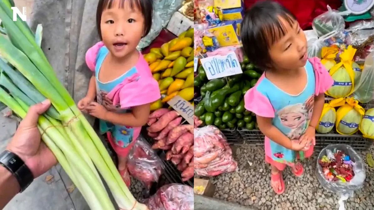 ลีลาไม่แพ้ผู้ใหญ่ แม่ค้าตัวน้อยฝึกขายของ ลีลาไม่แพ้ผู้ใหญ่ แม่ค้าตัวน้อยฝึกขายของ