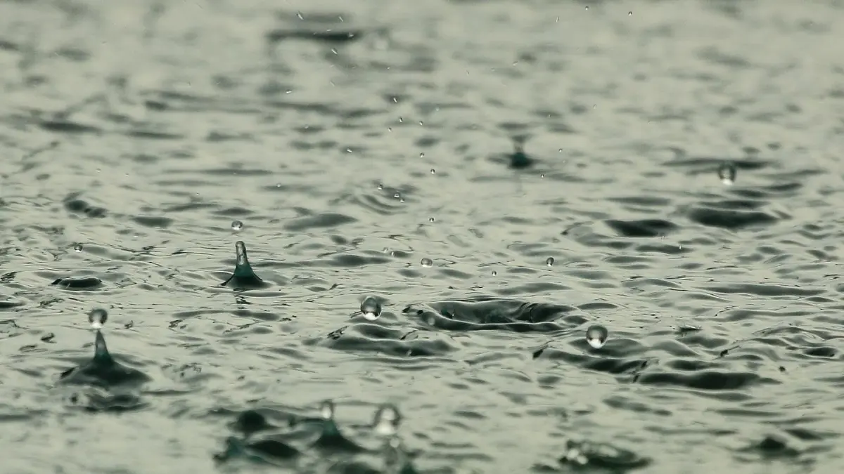 พยากรณ์สภาพอากาศวันนี้ ทั่วทุกภาคยังคงมีฝนฟ้าคะนอง กทม.ระวังช่วงบ่าย-ค่ำ พยากรณ์สภาพอากาศวันนี้ ทั่วทุกภาคยังคงมีฝนฟ้าคะนอง กทม.ระวังช่วงบ่าย-ค่ำ