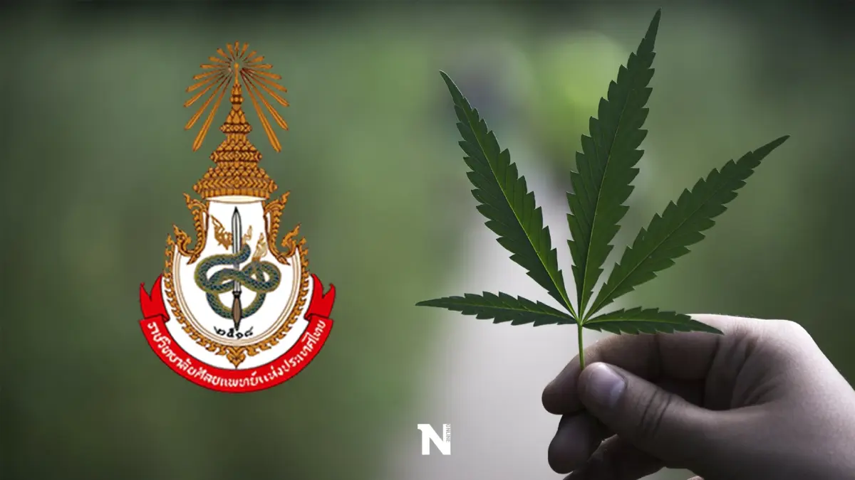 ราชวิทยาลัยอายุรแพทย์ฯ ออกคำแนะนำการใช้ "กัญชา" ในการรักษา-ประชาชนทั่วไป
