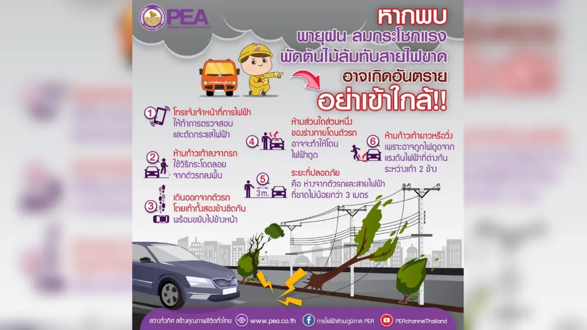 การไฟฟ้าส่วนภูมิภาค เตือนกรณีเกิดพายุฝน ลมกระโชกแรงพัดต้นไม้ล้มทับสายไฟฟ้า การไฟฟ้าส่วนภูมิภาค เตือนกรณีเกิดพายุฝน ลมกระโชกแรงพัดต้นไม้ล้มทับสายไฟฟ้า