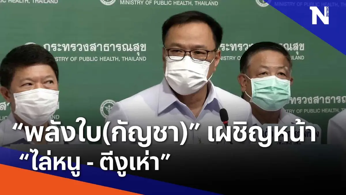 "พลังใบ(กัญชา)" เผชิญหน้า "ไล่หนู - ตีงูเห่า" | เนชั่นทันข่าวเช้า | NationTV22 "พลังใบ(กัญชา)" เผชิญหน้า "ไล่หนู - ตีงูเห่า" | เนชั่นทันข่าวเช้า | NationTV22