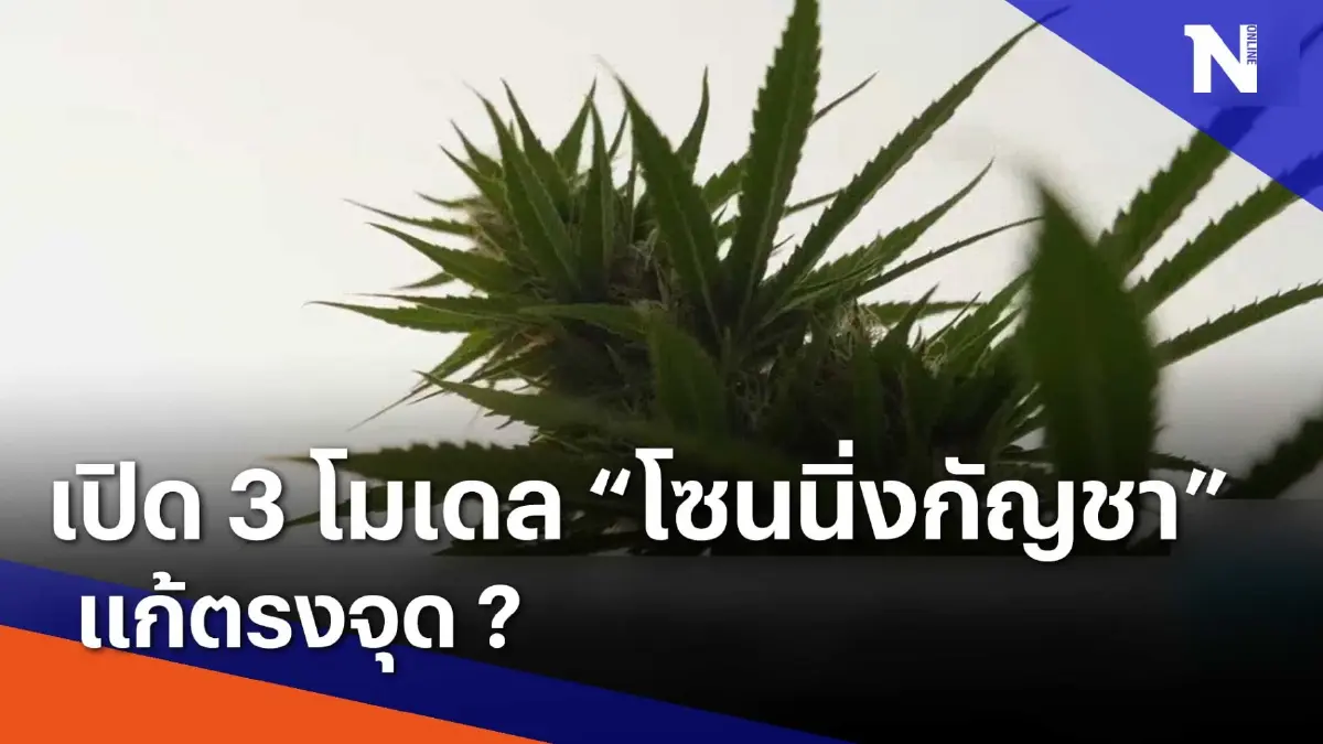 เปิด 3 โมเดล "โซนนิ่งกัญชา" แก้ตรงจุด ? | เนชั่นทันข่าวเช้า | NationTV22 เปิด 3 โมเดล "โซนนิ่งกัญชา" แก้ตรงจุด ? | เนชั่นทันข่าวเช้า | NationTV22