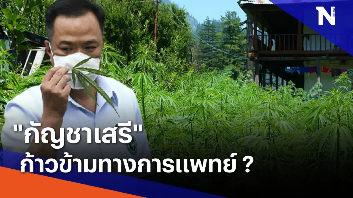 "กัญชาเสรี" ก้าวข้ามทางการแพทย์ ? | ข่าวข้นคนข่าว | NationTV22 "กัญชาเสรี" ก้าวข้ามทางการแพทย์ ? | ข่าวข้นคนข่าว | NationTV22