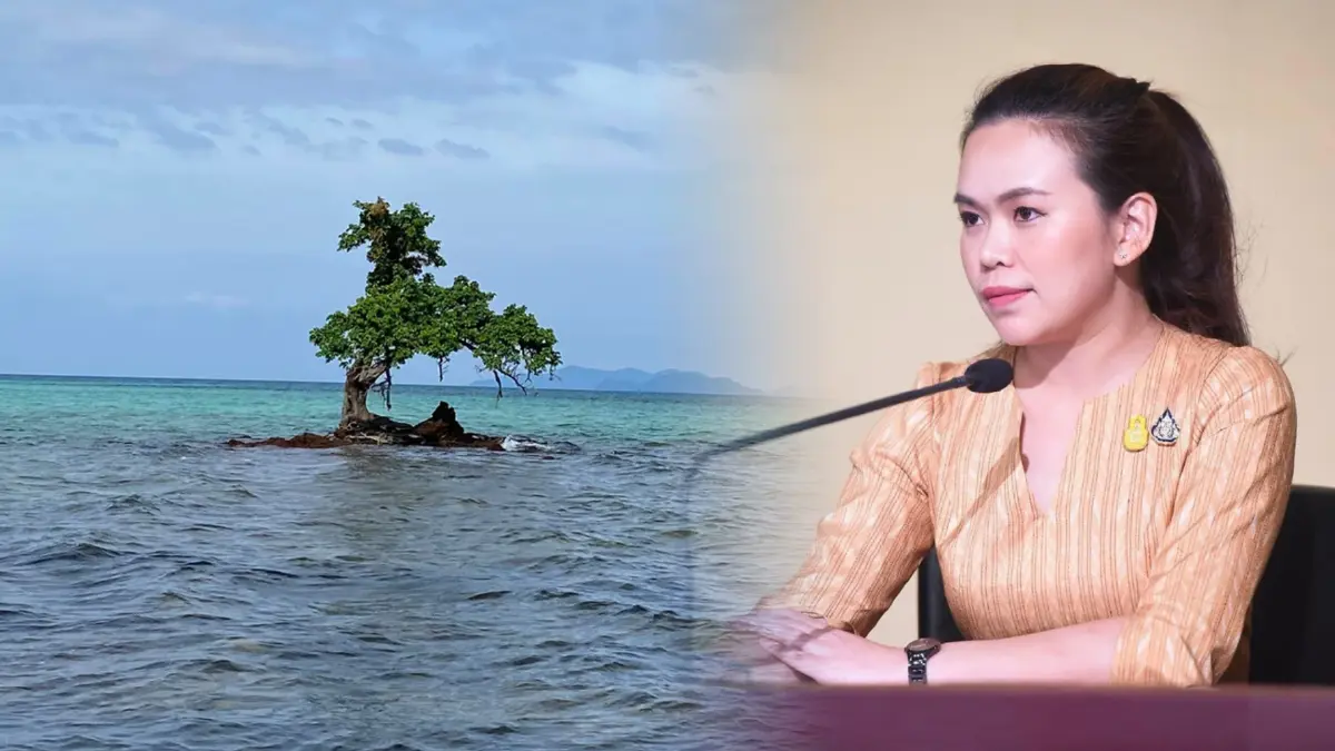 โฆษกรัฐบาลวอน นทท. ร่วมรักษาต้นตะบันสัญลักษณ์เกาะขายหัวเราะ ขออย่าโหน โฆษกรัฐบาลวอน นทท. ร่วมรักษาต้นตะบันสัญลักษณ์เกาะขายหัวเราะ ขออย่าโหน