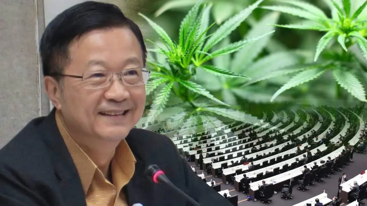 จี้นายกฯออกพระราชกำหนดควบคุมกัญชาปิดช่องเสรีห่วงกระทบเด็กและเยาวชน
