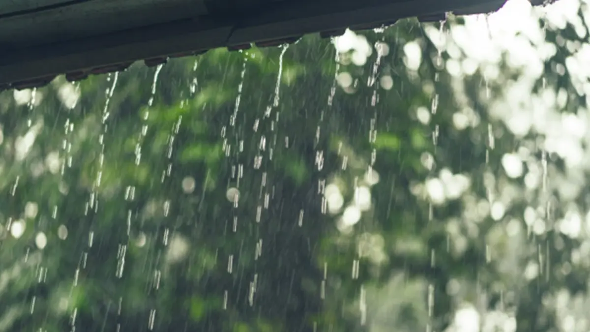 สภาพอากาศวันนี้ อีสาน-กลาง ระวังฝนฟ้าคะนองกับมีลมกระโชกแรง