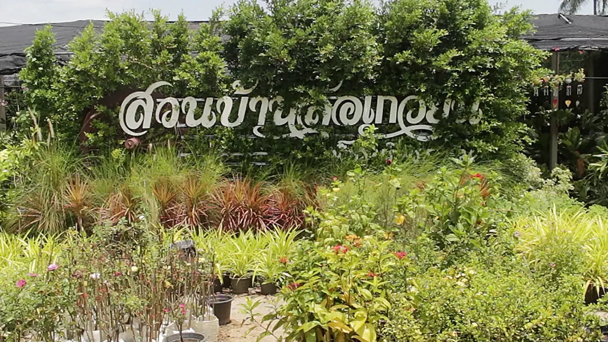 เปิดร้านขาย 'ต้นไม้' โกยรายได้เดือนละ 6 หมื่นบาท!