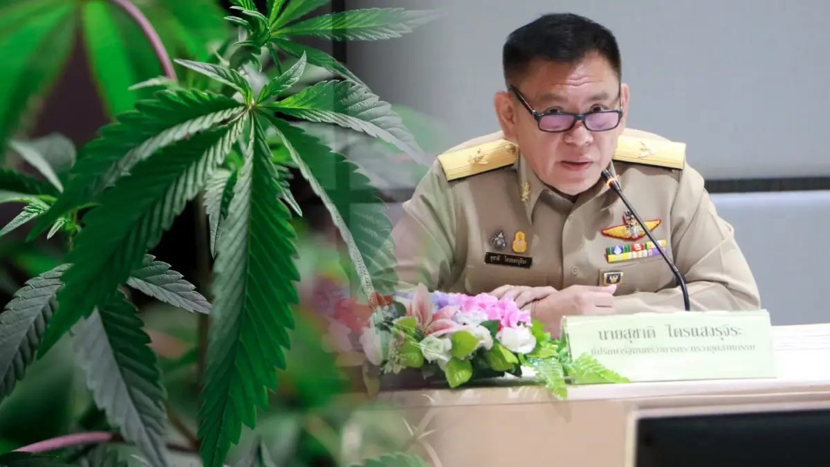 “ก.อุตสาหกรรม” เดินหน้าให้ความรู้ขับเคลื่อนธุรกิจ "กัญชง - กัญชา" ปลอดภัย “ก.อุตสาหกรรม” เดินหน้าให้ความรู้ขับเคลื่อนธุรกิจ "กัญชง - กัญชา" ปลอดภัย