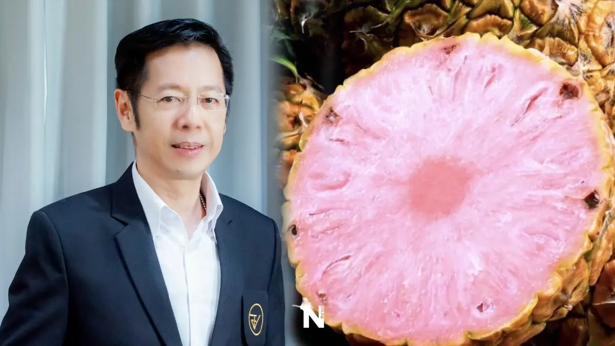 อย. ชี้ "สับปะรดสีชมพู" สิ่งต้องห้าม เตรียมประกาศ 2 ฉบับคุมพืชGMO ลงราชกิจจาฯ อย. ชี้ "สับปะรดสีชมพู" สิ่งต้องห้าม เตรียมประกาศ 2 ฉบับคุมพืชGMO ลงราชกิจจาฯ