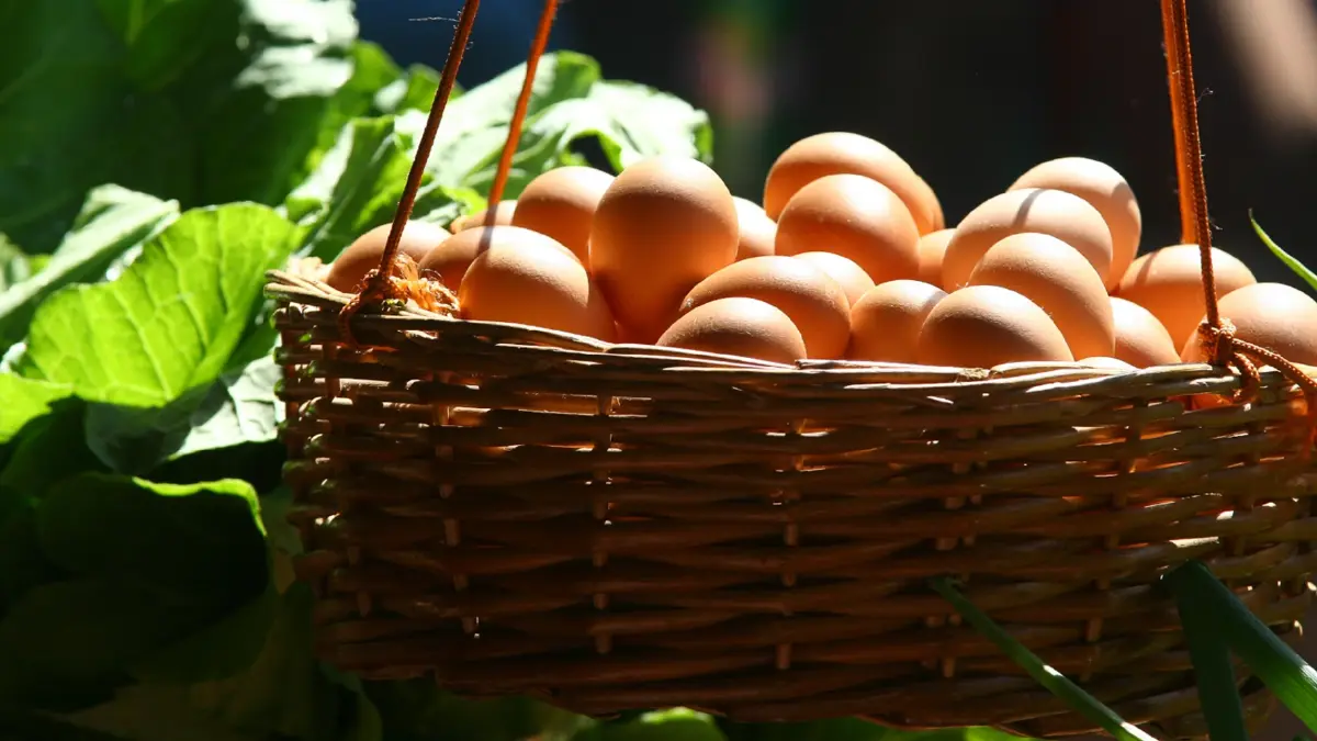 กรมการค้าภายใน แจง 'ไข่ไก่' ราคาลง - 'ผัก' ทรงตัว