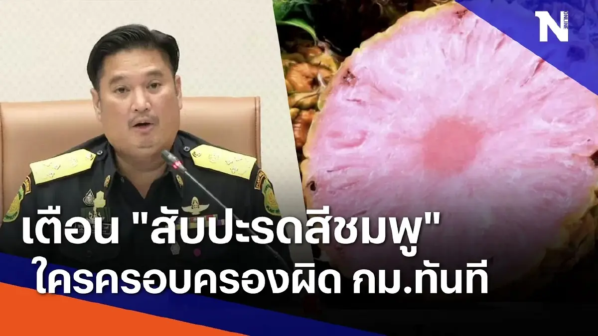 เตือนใครครอบครอง "สับปะรดสีชมพู" ผิด กม.ทันที เตือนใครครอบครอง "สับปะรดสีชมพู" ผิด กม.ทันที