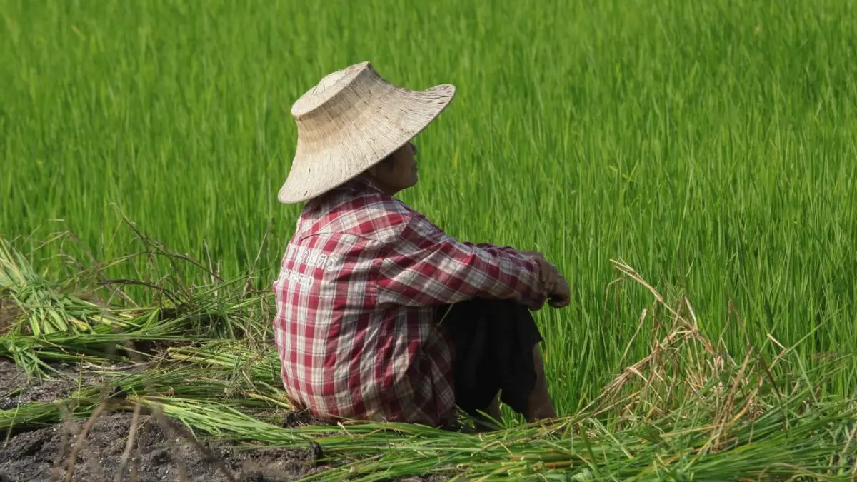 ธ.ก.ส.ลุยให้สินเชื่อเกษตรกร 5 ล้านราย สำหรับผู้ที่ชำระหนี้ไม่ได้