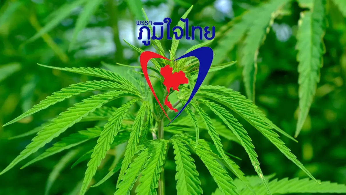 ภูมิใจไทย แจง ทำตามสัญญา "กัญชาเสรี" เชื่อ พรุ่งนี้ไม่เกิดหลุมดำ ตามที่กังวล