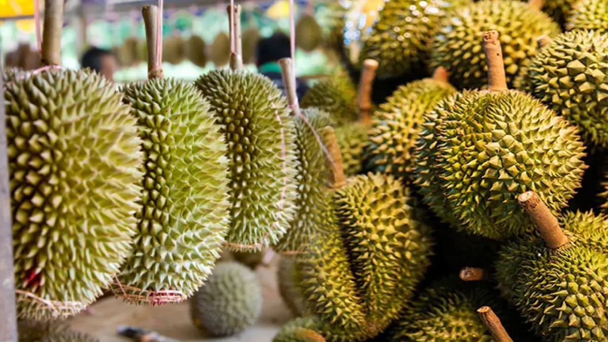 ม.หอการค้าไทยหวั่น 5 ปี ส่งออก 'ทุเรียน' ไทยลดลง