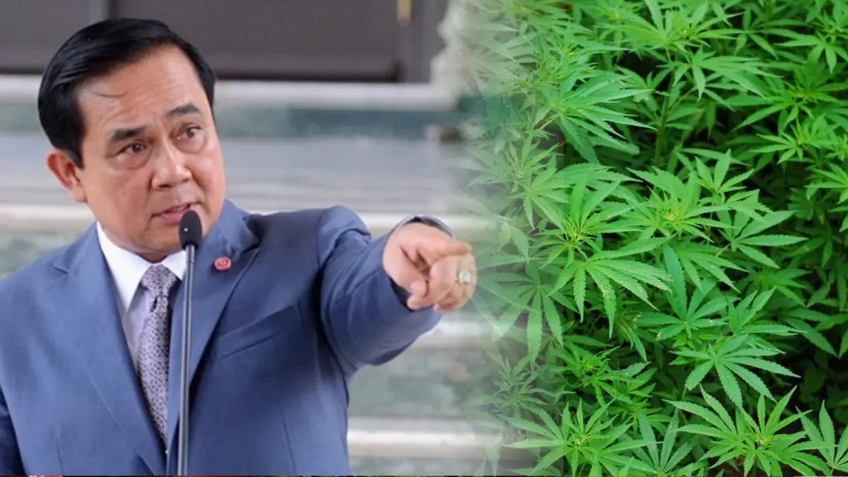 "บิ๊กตู่" เข้มสั่งห้ามทหารใช้กัญชาในหน่วย รวมถึงโชว์ผ่านโซเชียลเด็ดขาด "บิ๊กตู่" เข้มสั่งห้ามทหารใช้กัญชาในหน่วย รวมถึงโชว์ผ่านโซเชียลเด็ดขาด