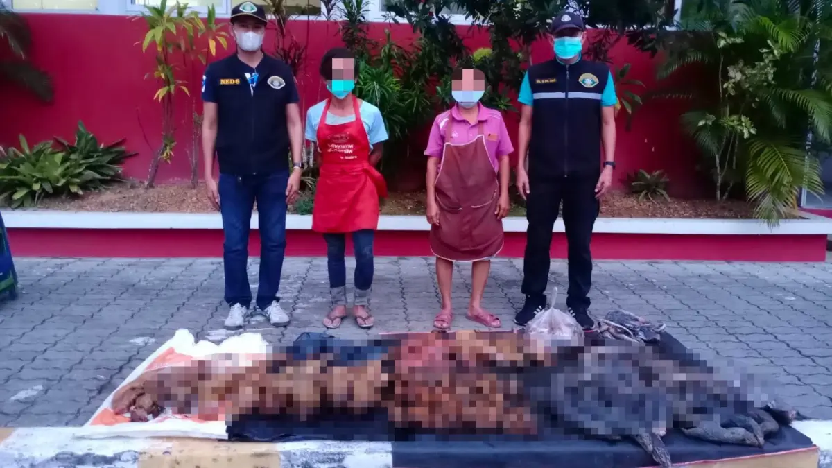 ปทส. รวบผัวเมียขายสัตว์ป่าให้พวกเปิบพิสดารกลางตลาดนัด ผงะของกลางเพียบ ปทส. รวบผัวเมียขายสัตว์ป่าให้พวกเปิบพิสดารกลางตลาดนัด ผงะของกลางเพียบ