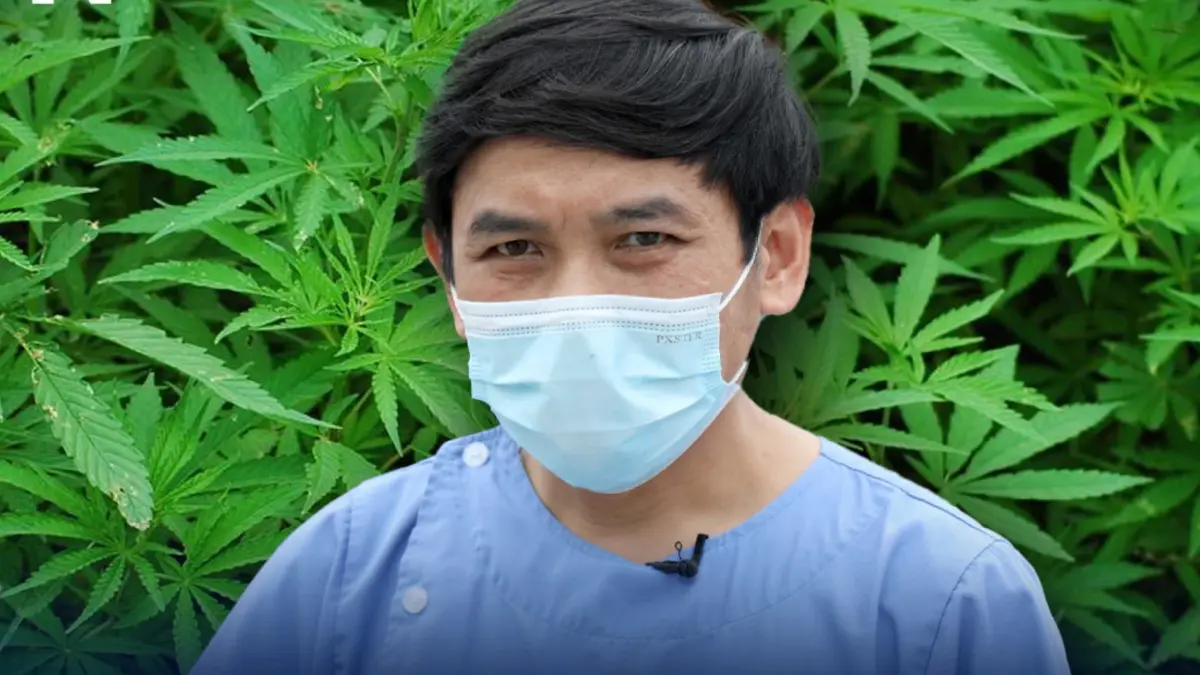 "หมอสุภัทร” งดจ้อกัญชาเสรี หลังขยี้แรงสะเทือน "ส.ส." คาดถูกสั่งห้ามพูด "หมอสุภัทร” งดจ้อกัญชาเสรี หลังขยี้แรงสะเทือน "ส.ส." คาดถูกสั่งห้ามพูด