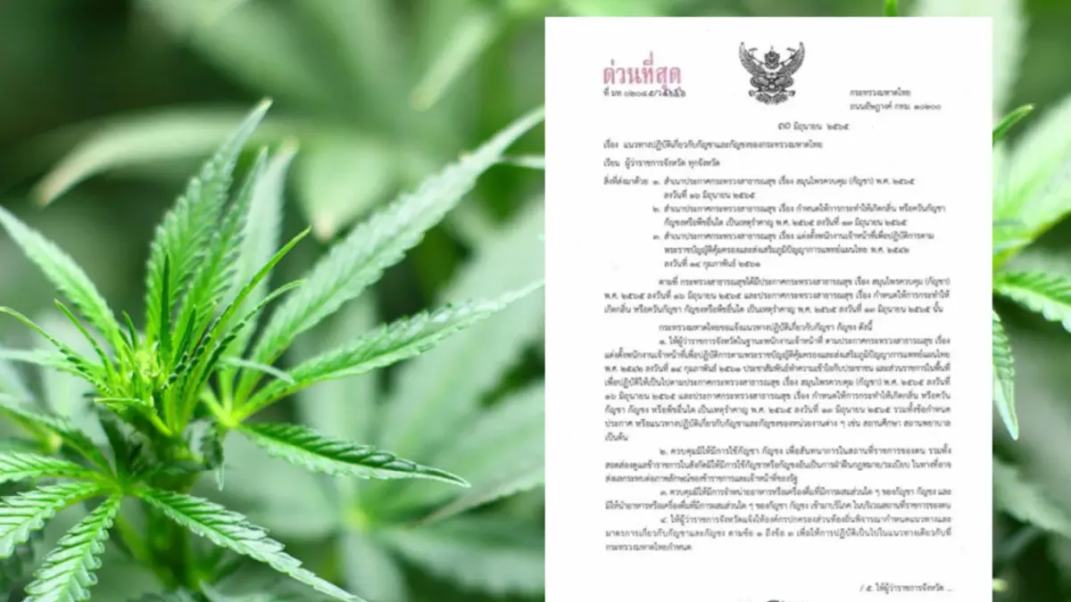 ด่วนที่สุด “ปลัดมท.” สั่งผู้ว่าฯทั่วประเทศ คุมเข้ม 7 แนวทางใช้กัญชา ด่วนที่สุด “ปลัดมท.” สั่งผู้ว่าฯทั่วประเทศ คุมเข้ม 7 แนวทางใช้กัญชา