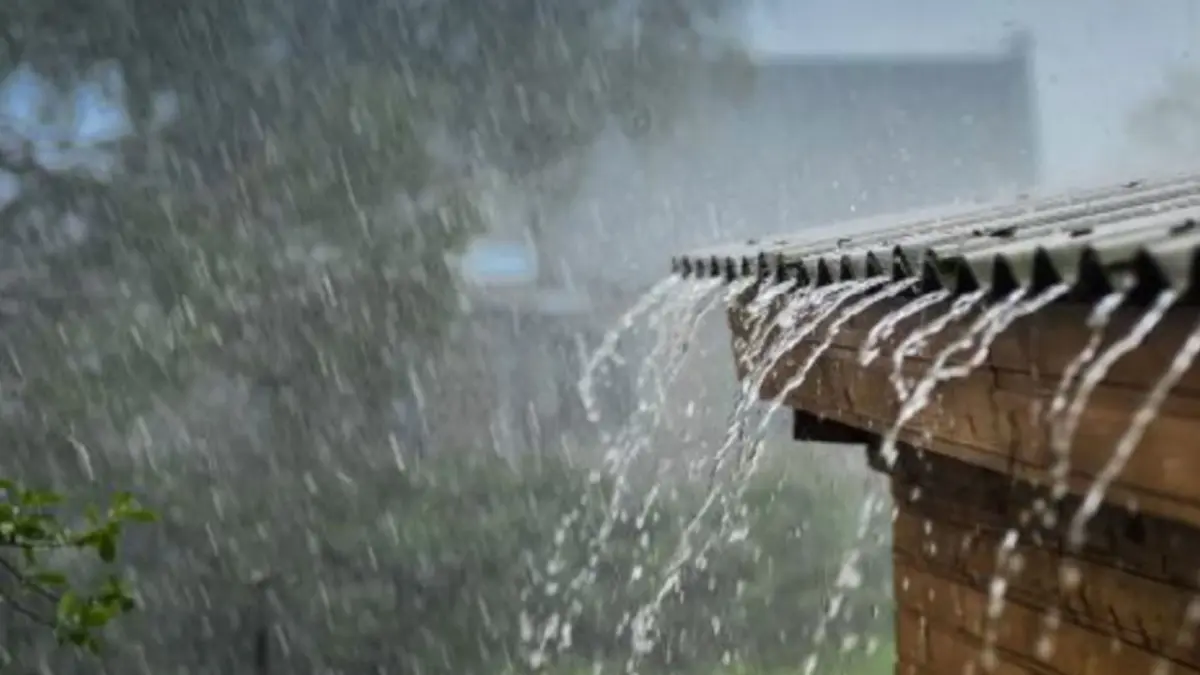 สภาพอากาศวันนี้ ฝนลดลง สูงสุดร้อยละ 40 ของพื้นที่ กทม.ระวังช่วงบ่าย-ค่ำ
